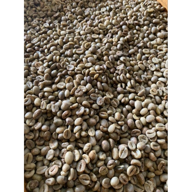 

GREENBEAN ROBUSTA NATURAL SONGGON/KOPI BANYUWANGI/KOPI/ROBUSTA