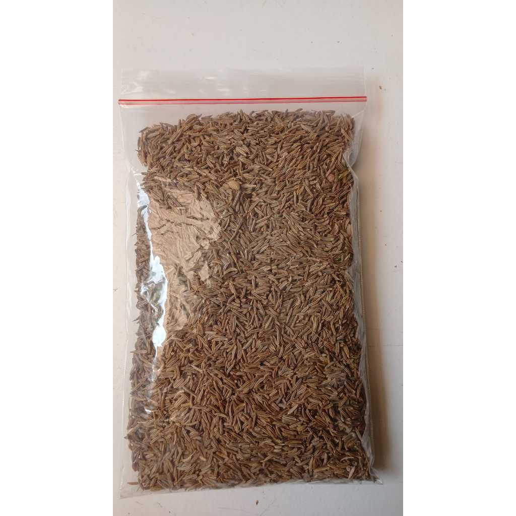 

Jinten / Jintan / Cumin Seed 100 Gr Rempah Herbal Bumbu Masak Dapur