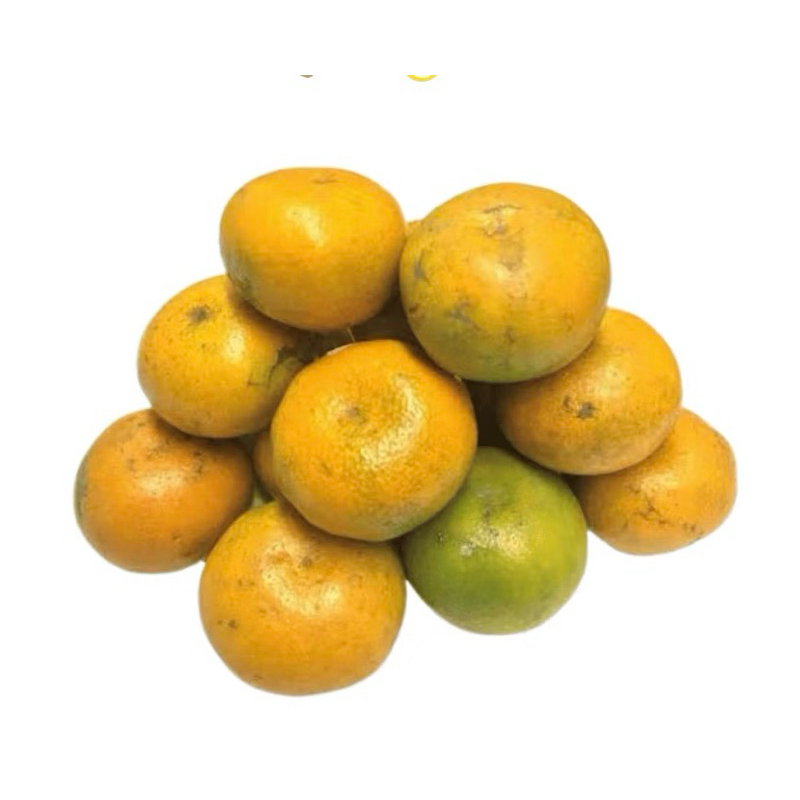 

JERUK MEDAN Buah Jeruk