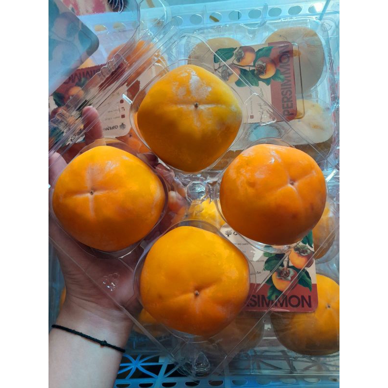 

persimon korea manis cruncyy,fresh selalu kmsan pack