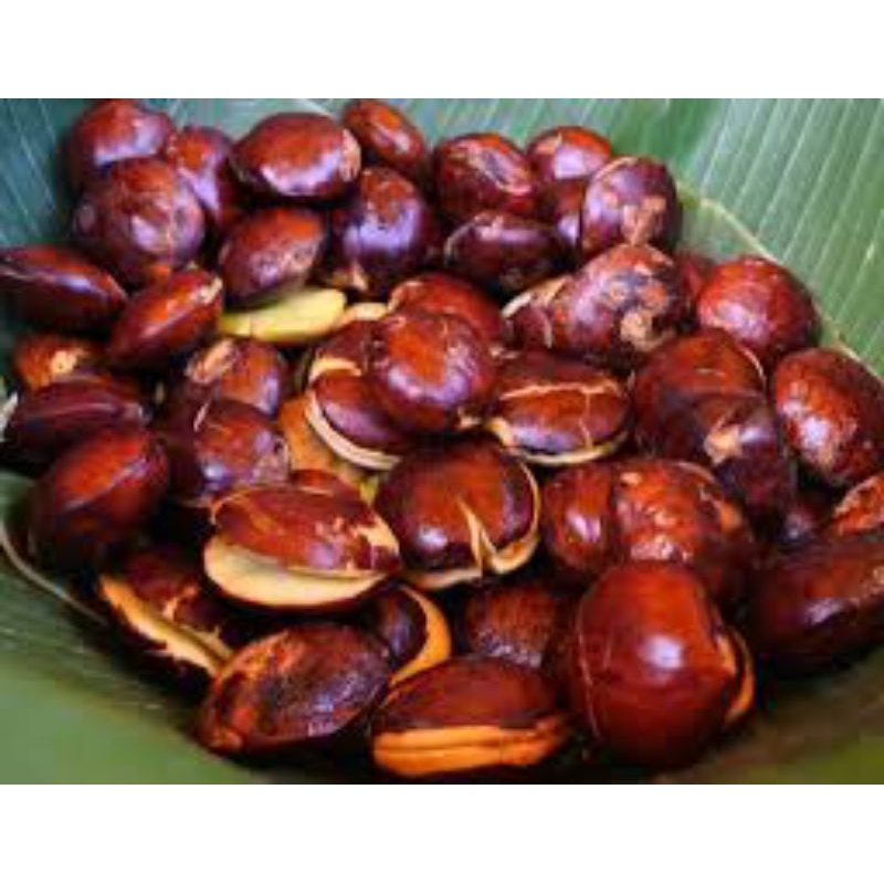 

Jengkol Tua pulen legit 1kg Harga Grosir