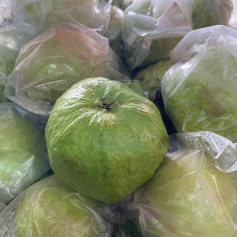 

Buah Jambu Kristal