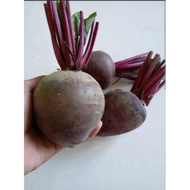 

buah bit