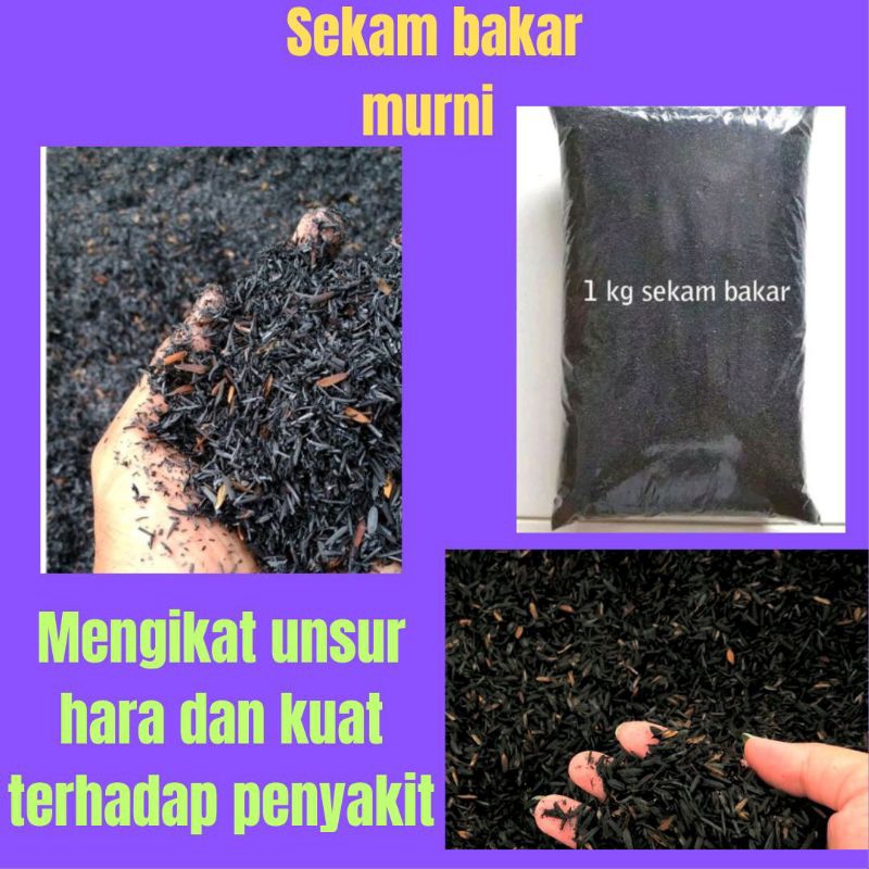 TERLARIS.. Sekam Bakar Halus 1kg