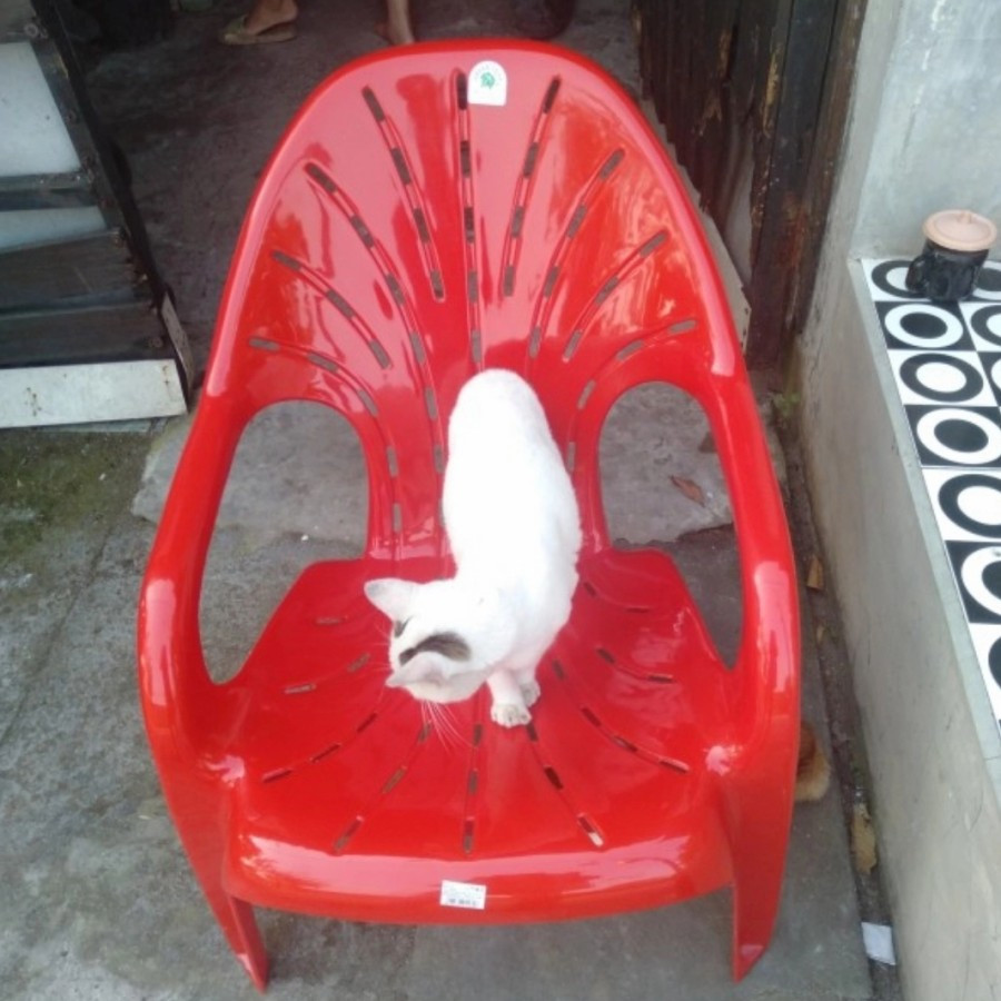 Kursi Santai Green Leaf 1175 Bangku Swiss Sender Teras Malas Taman Plastik