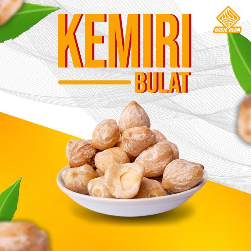 

Kemiri Bulat 1Kg Fresh dan Berkualitas