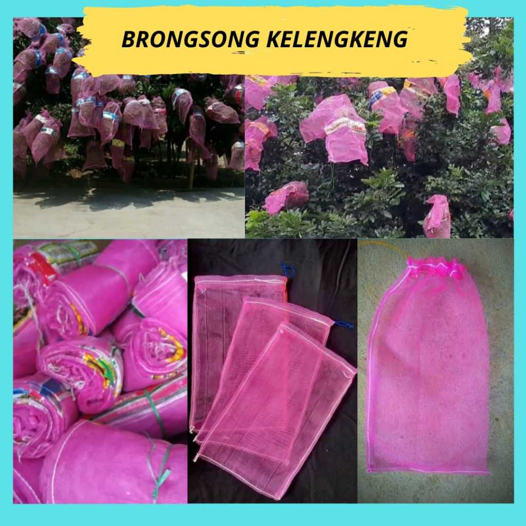 PROMO. Brongsong  kelengkeng baru, Pembungkus pohon kelengkeng 10 PCS
