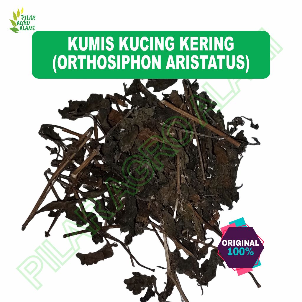 

Kumis kucing yang sudah dikeringkan