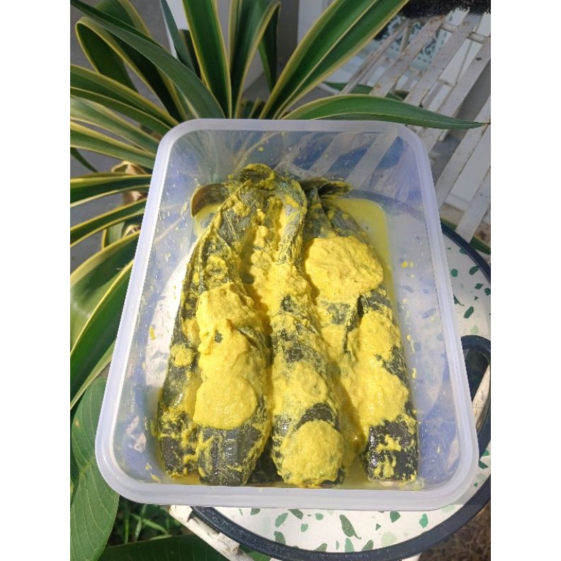 

LELE BUMBU KUNING 1KG FREE SAMBAL SIAP GORENG HALAL