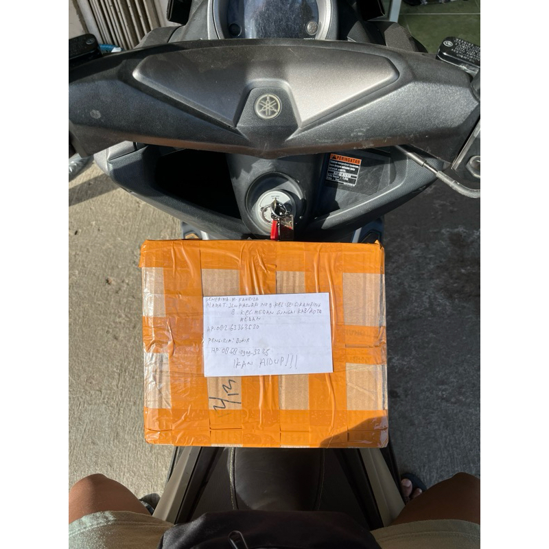 

kardus sterofoam packing