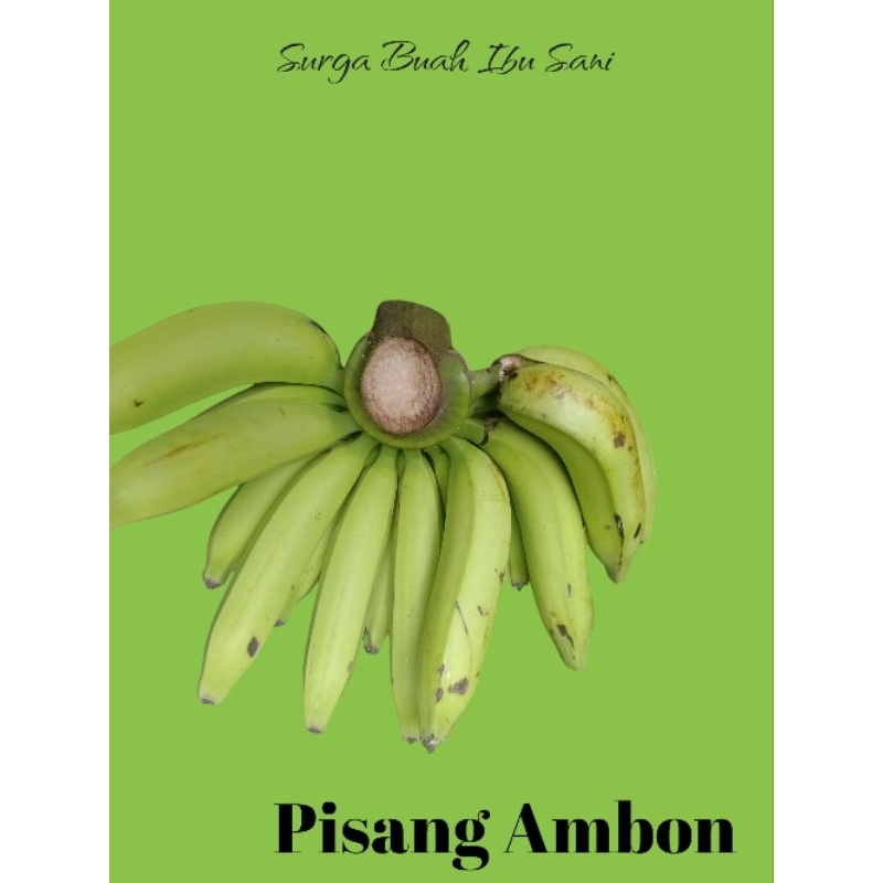 Pisang kepok