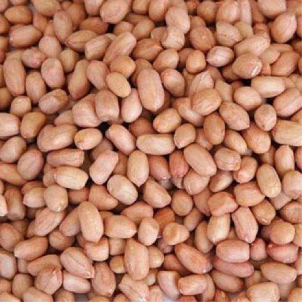 

Kacang Tanah Putih 1 kg