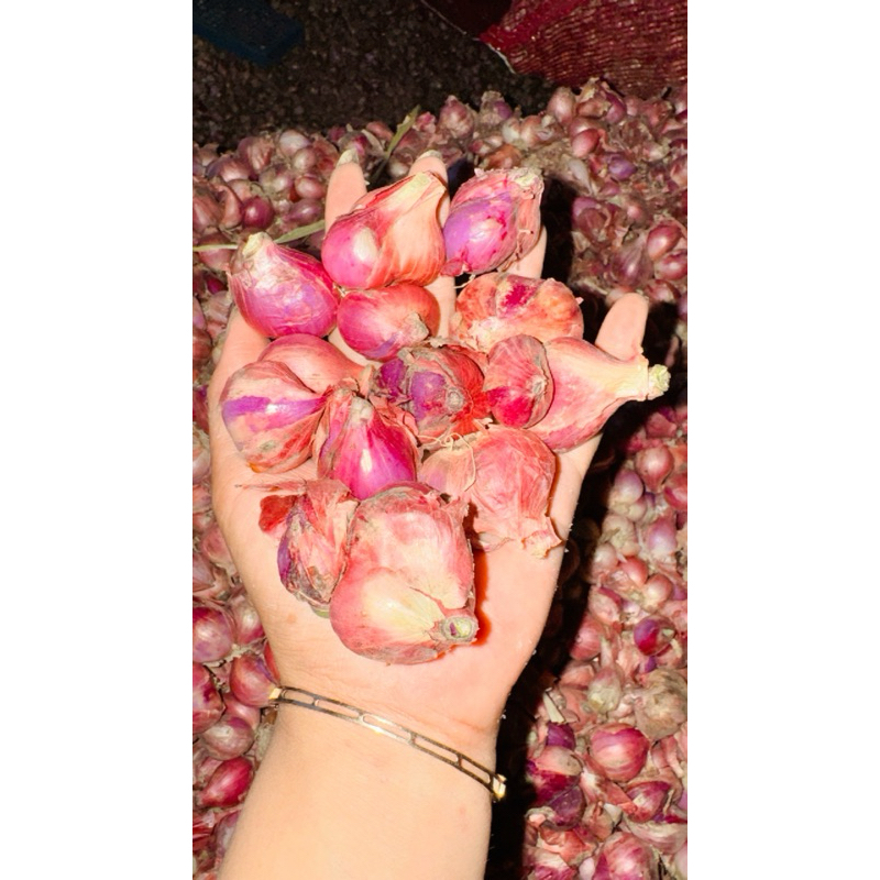 

bawsng merah super 1 kg