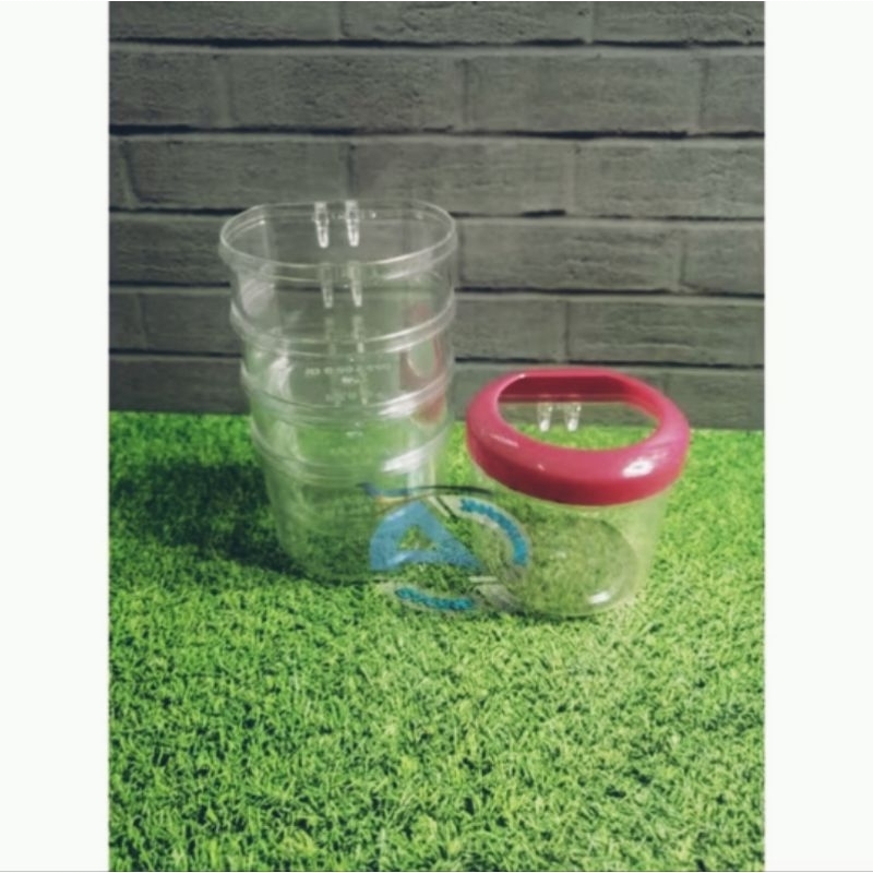 Cepuk Kecil tempat makan dan minum burung