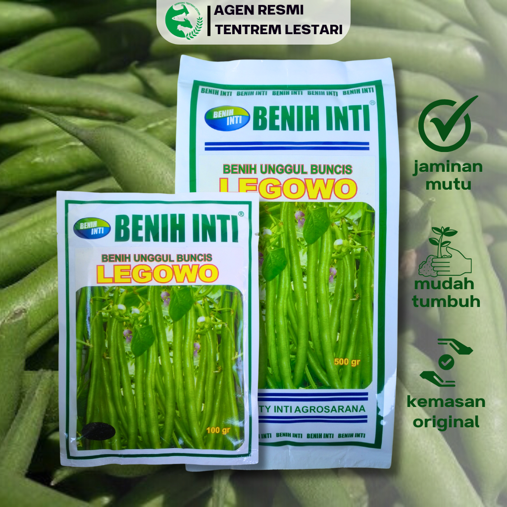 Benih Unggul Buncis LEGOWO 500 gr Asli cap Benih Inti Lebat & Tidak Mudah Patah