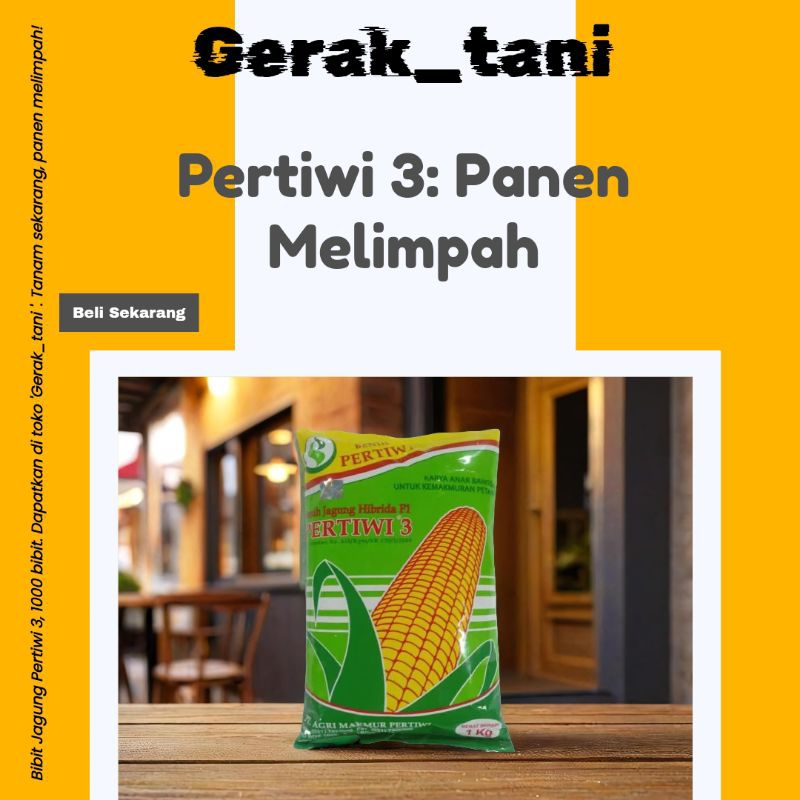 benih jagung Pertiwi 3 kemasan 5kg