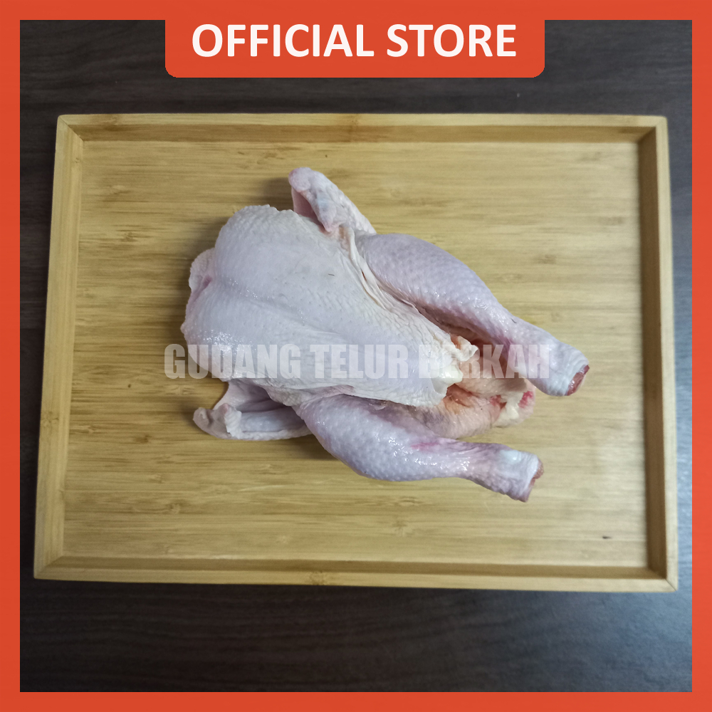 

Ayam Potong Broiler Frozen Ayam Karkas Kurang Lebih 1000gr