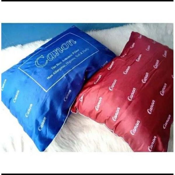 Tidur HZ Daswoll Canon Bantal