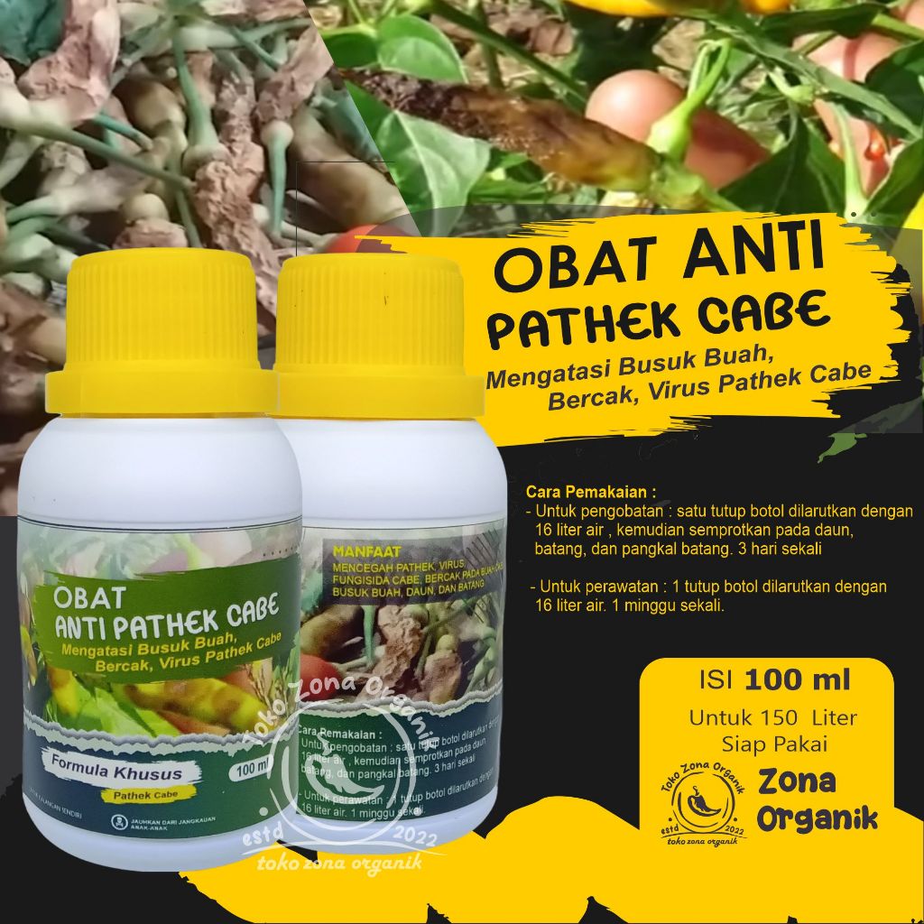 ZonaOrganik | Obat Anti Pathek Cabai Busuk Buah Jamur, VIrus Dan Penyakit Pada Buah Yang Disebabkan 
