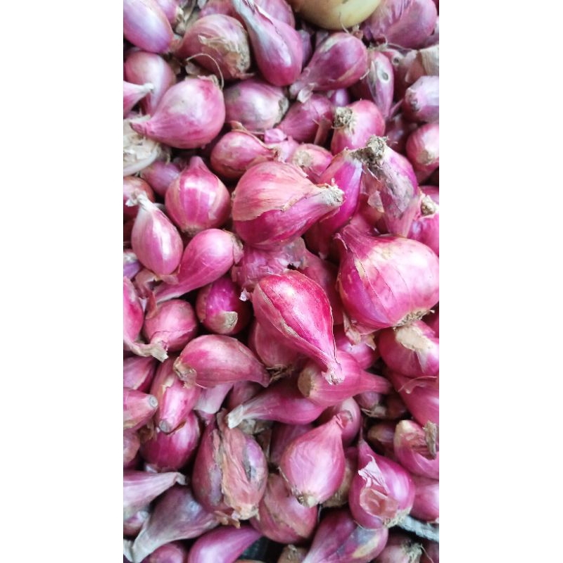 

Bawang Merah 500gr/1.000gr