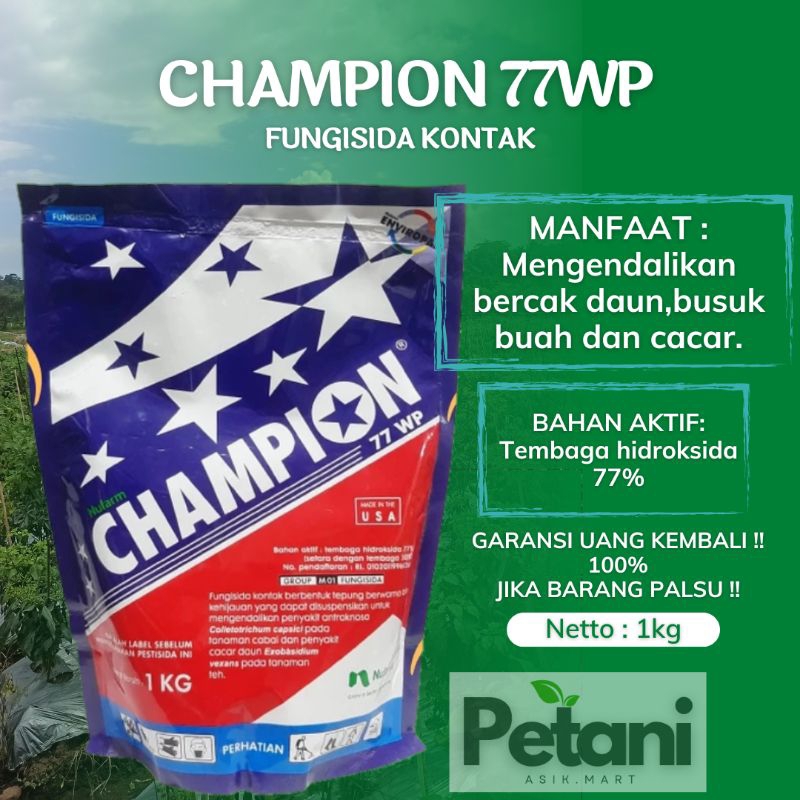 CHAMPION 77WP 1KG FUNGISIDA TEMBAGA HIDROKSIDA 77%