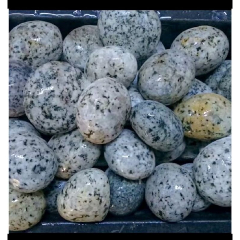 BATU HIAS telur puyuh 250gram