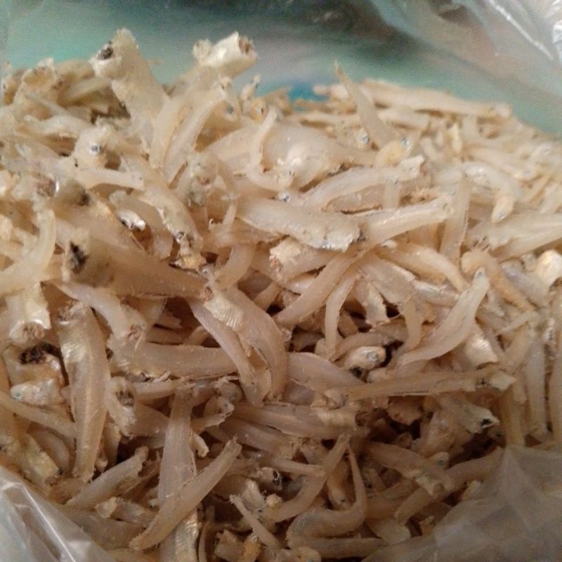 

Teri Mayang nasi