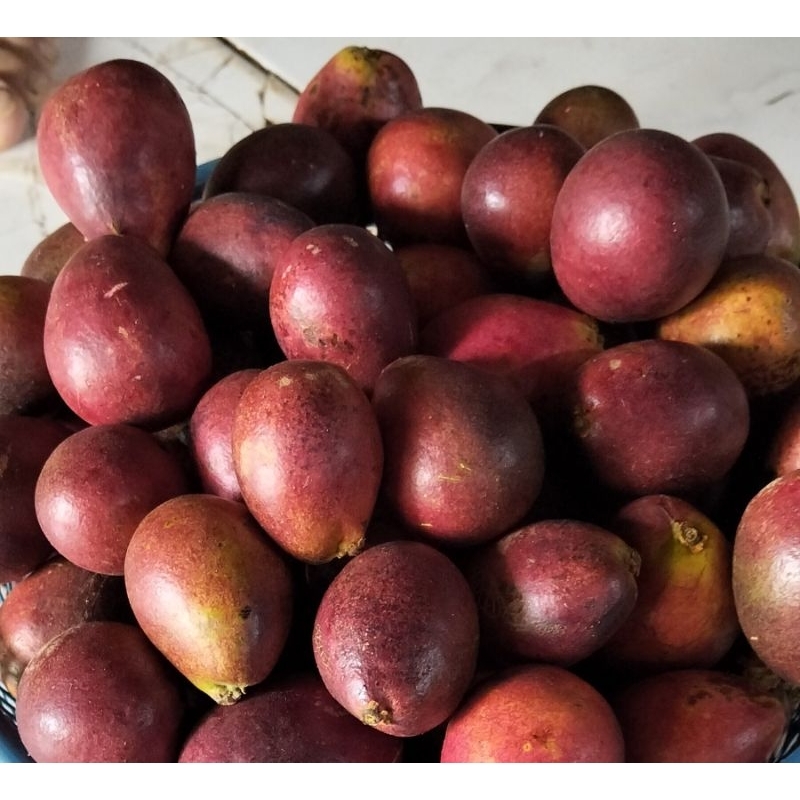 

1kg buah matoa super Fress matoa 3 rasa