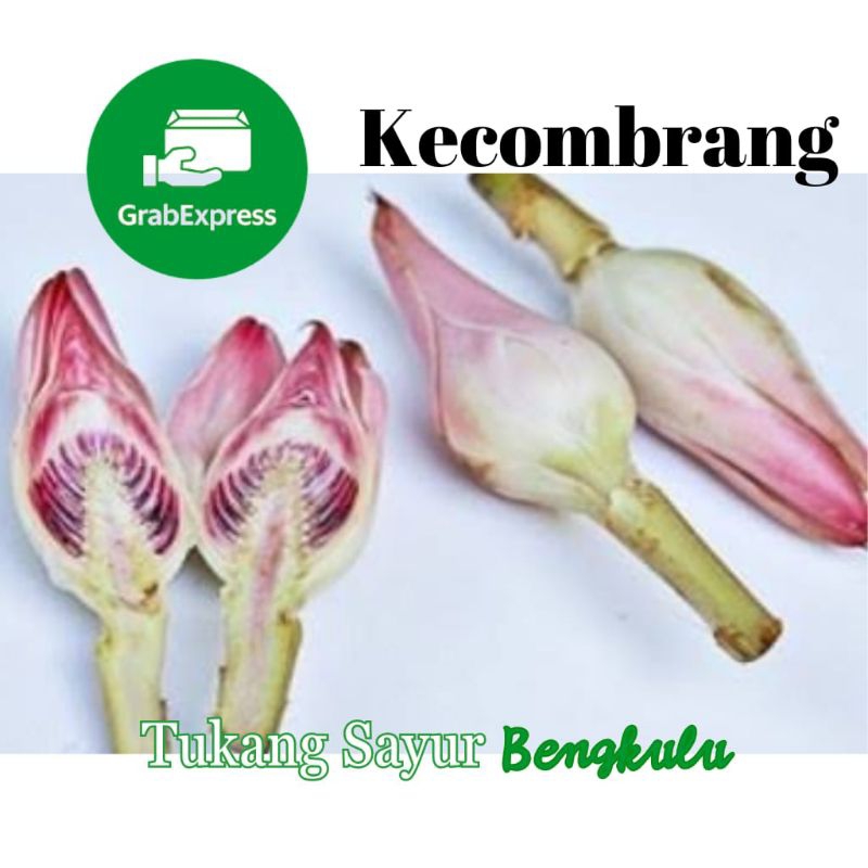 

Kecombrang unji per pc (satuan) kantan honje terpuk kincung Grab instan Tukang Sayur Bengkulu