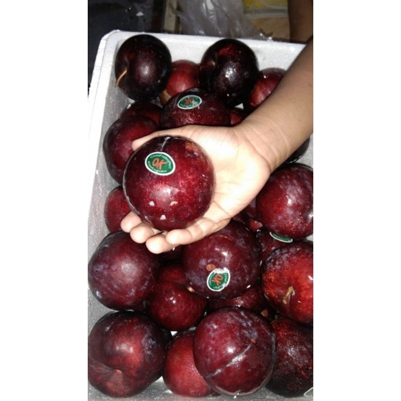 

Plum Merah 500 gram isi 4-5bh
