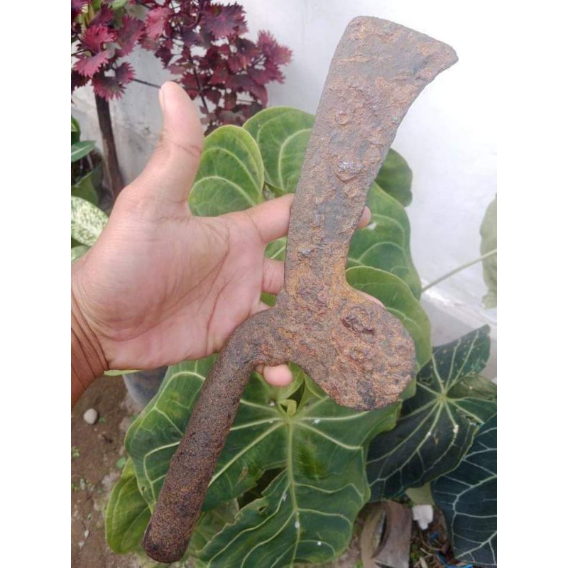 Kudi Temuan Sungai Brantas