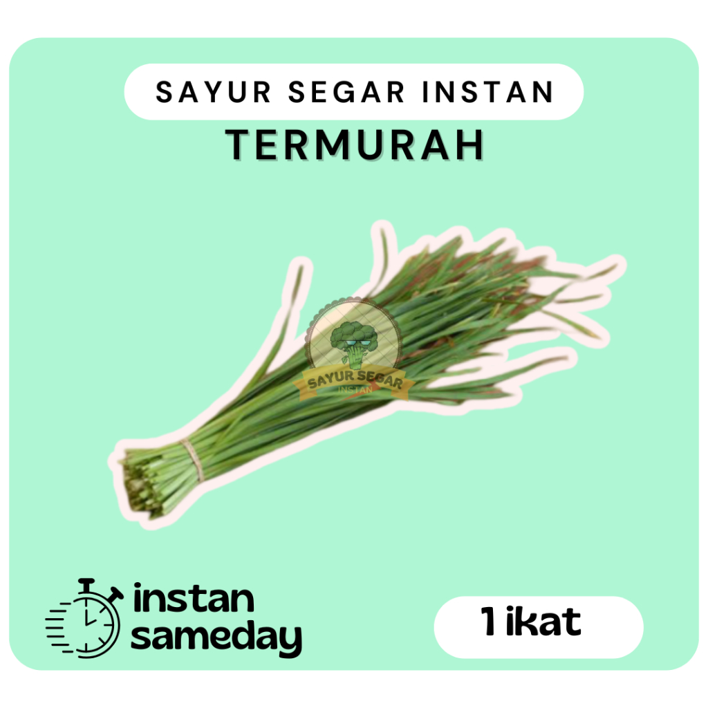 

Daun Kucai 1 ikat - Sayursegarinstan