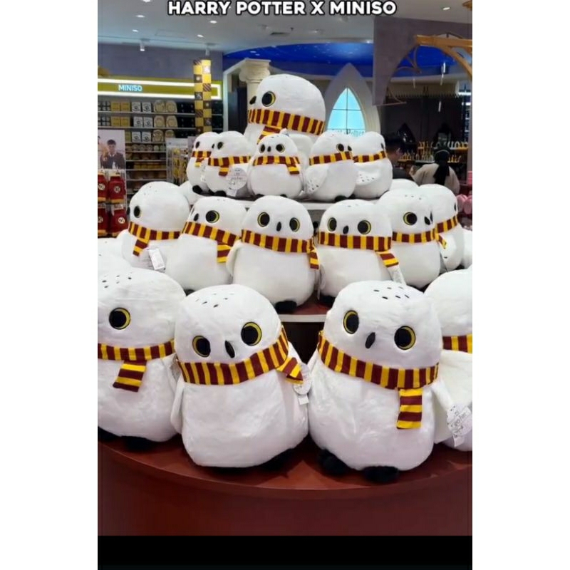 miniso 🇮🇩 x harry potter boneka owl burung hantu