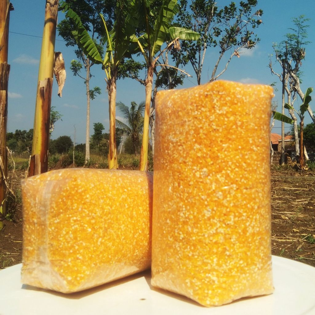 

Beras Jagung Madura 1 Kg untuk Diabetes Premium