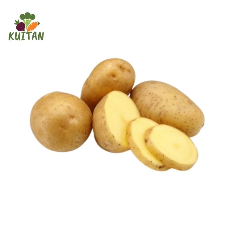 

kentang fresh 500 Gr & 1KG