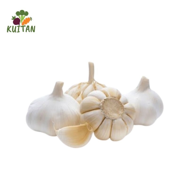 

bawang putih fresh 250 Gr, 500 Gr, 1000Gr