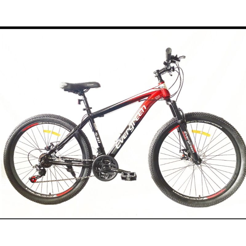 Sepeda MTB evergreen ranger 530 j