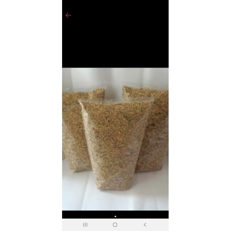 

sekkem padi asli%MURAA...!!! 1KG