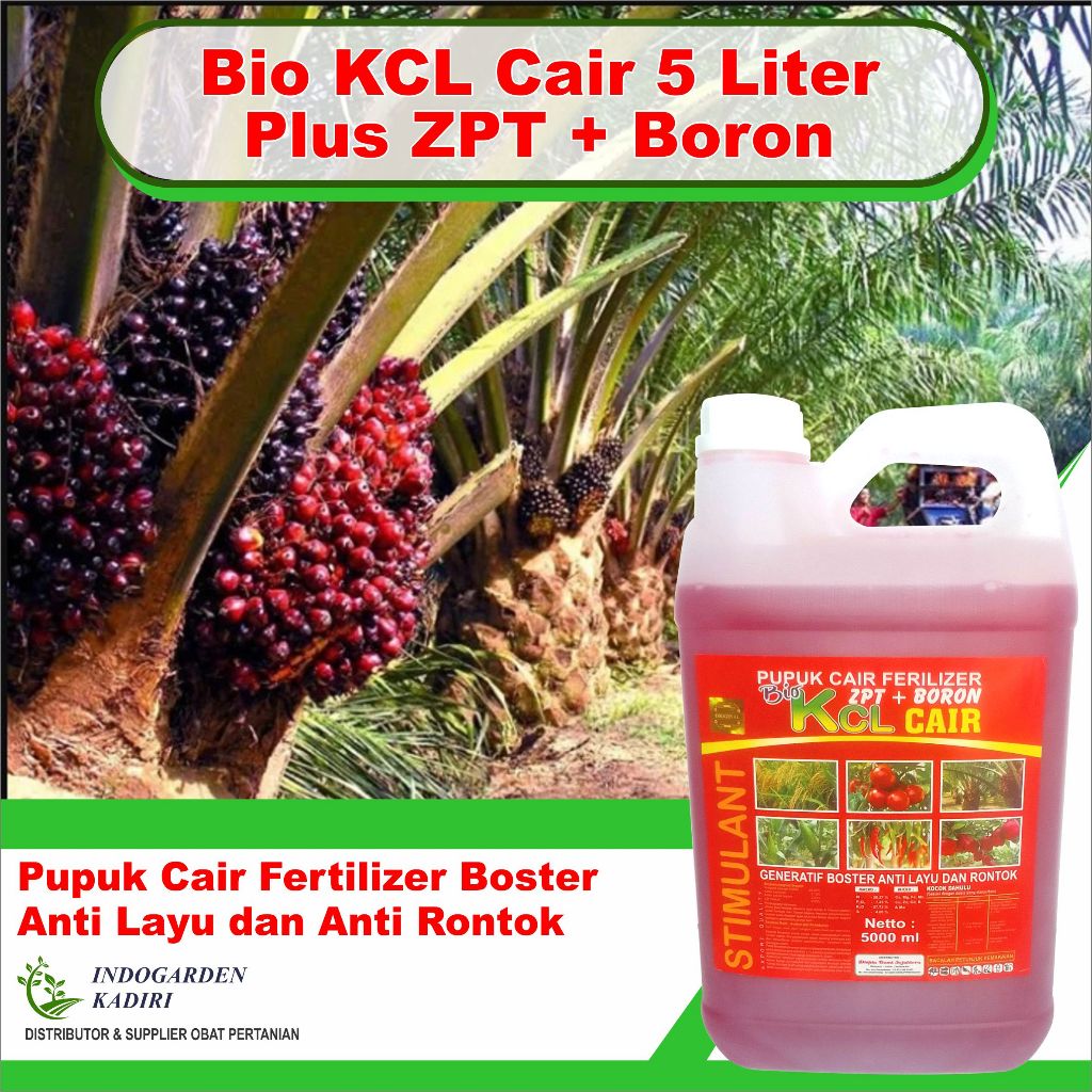 Pupuk Cair Bio KCL Prima Plus Boron Boster Anti layu dan Rontok Pupuk Sawit Paling Bagus ± 5000 ml