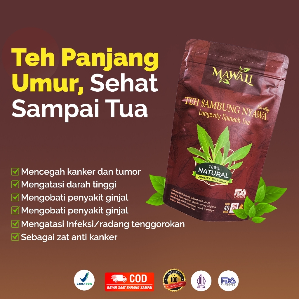 

Paket Hemat 2 Buah Teh Sambung Nyawa Mawali Teh Panjang Umur Sehat Sampai Tua
