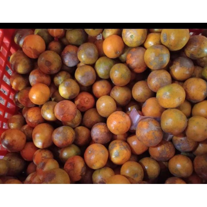 

Jeruk siem madu ukuran sedang 1 kg