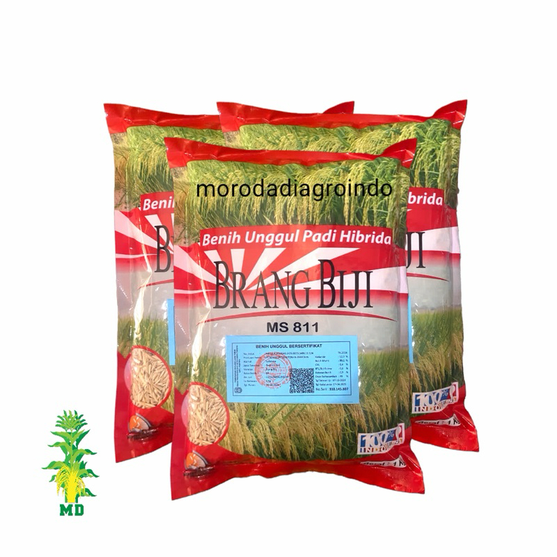 Benih Padi Hibrida BRANG BIJI MS811 Kemasan 1kg.