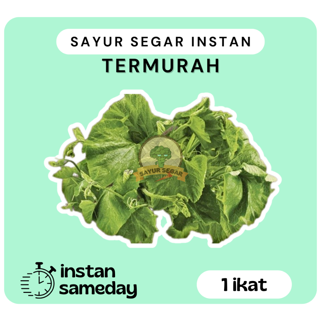 

Daun Labu 1 ikat / Daun Labu segar -Sayur Segar Instan