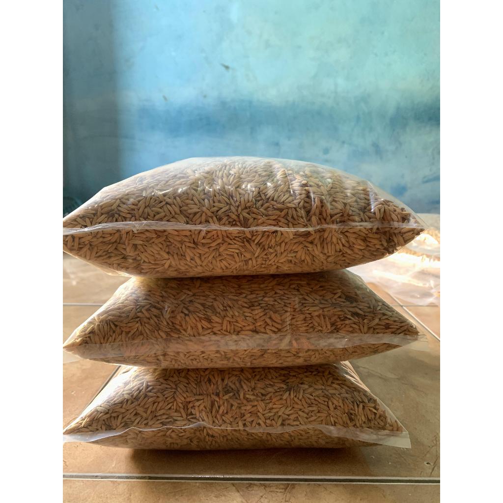 BENIH BIBIT PADI INFARI 32 5KG