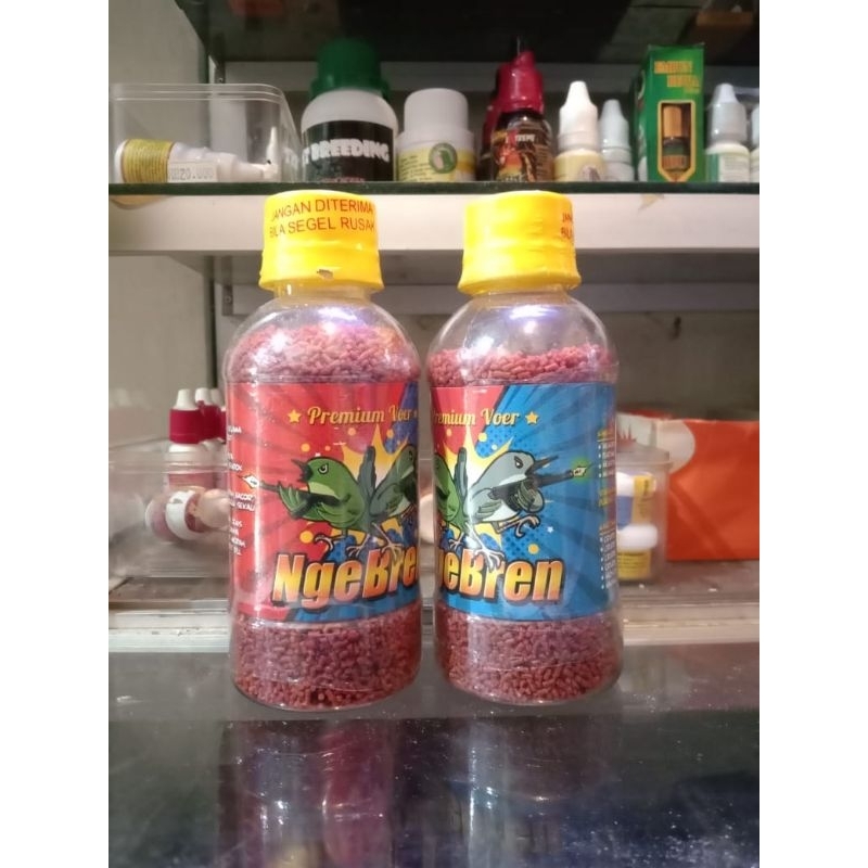 NGEBREN Ebod Jaya Voer Pakan Burung Ciblek Kerak Basi Prenjak