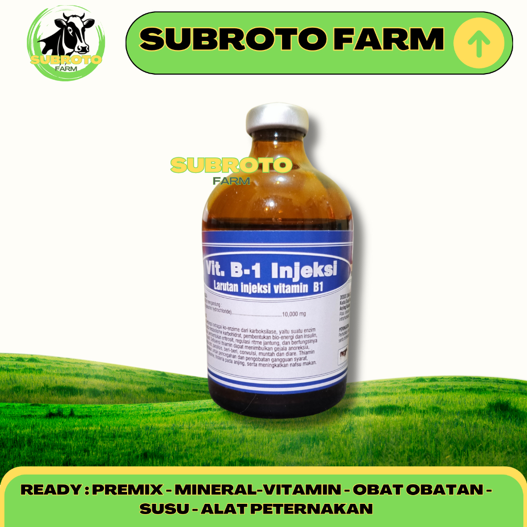 VIT B1 INJEKSI