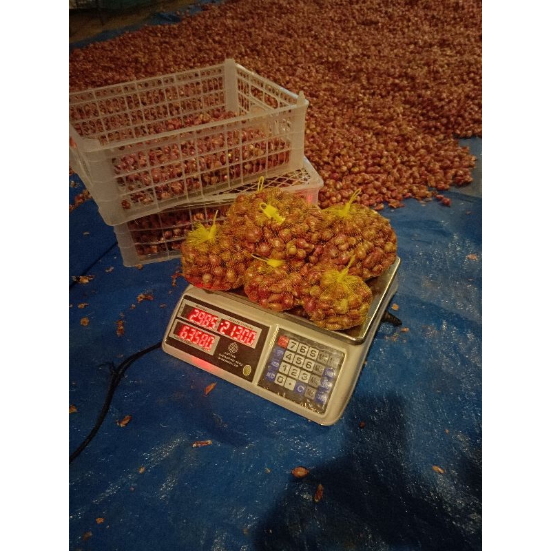 

Bawang Merah Probolinggo Kemasan