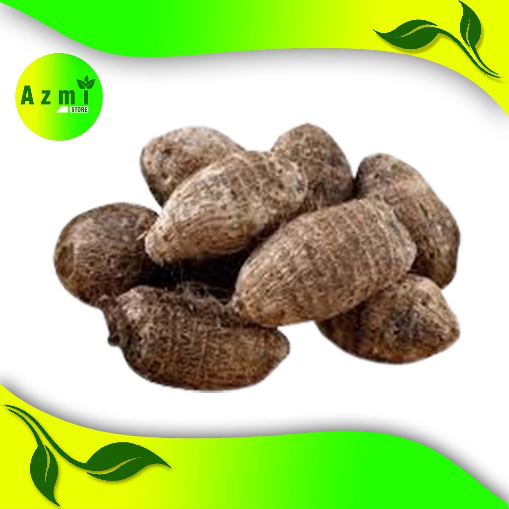 

Umbi Talas Pulen 1 kg -Ubi Talas Segar Fresh