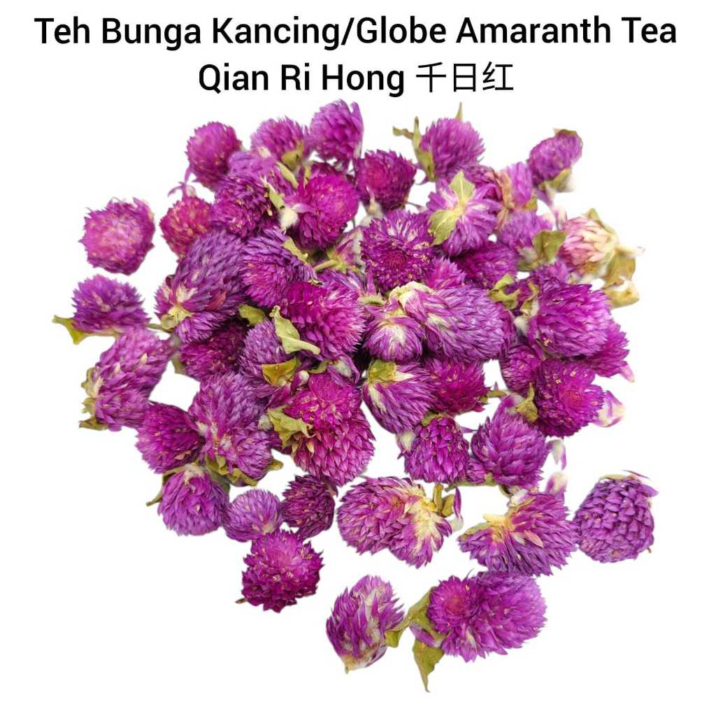 

Globe Amaranth / Teh Bunga Kancing / Qian Ri Hong 千日红