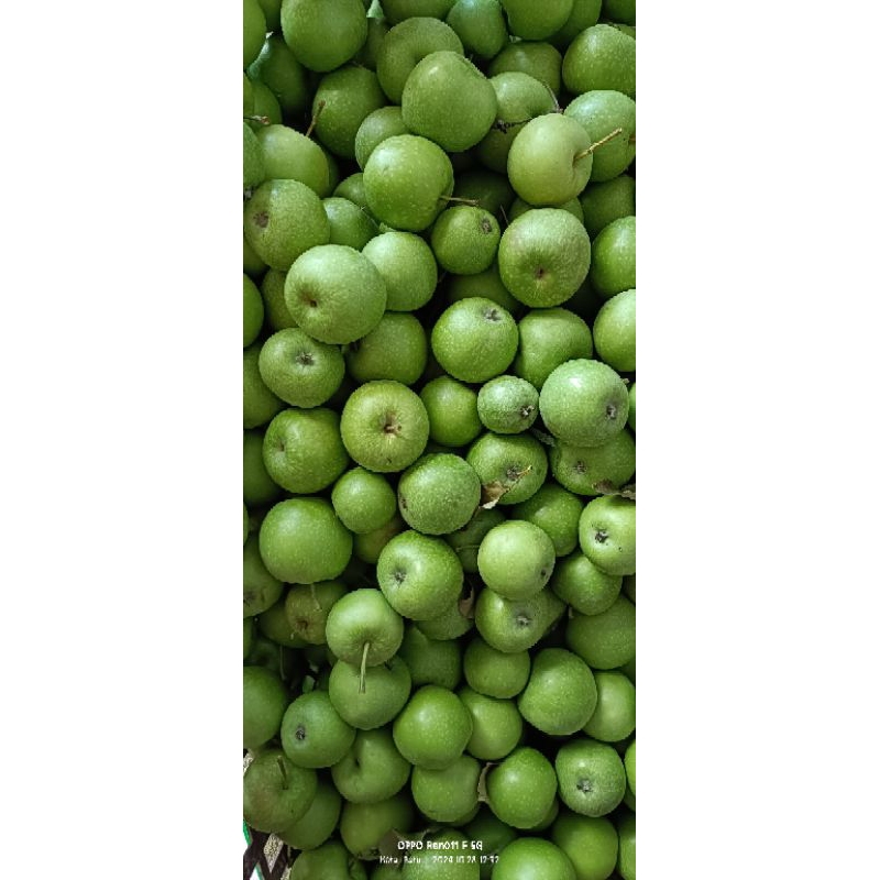 

apel Grani Smith mini 25 buah dalam 1kg